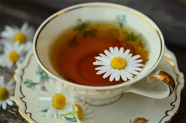ハチドリを引き寄せる！おすすめの開花ツル植物8選