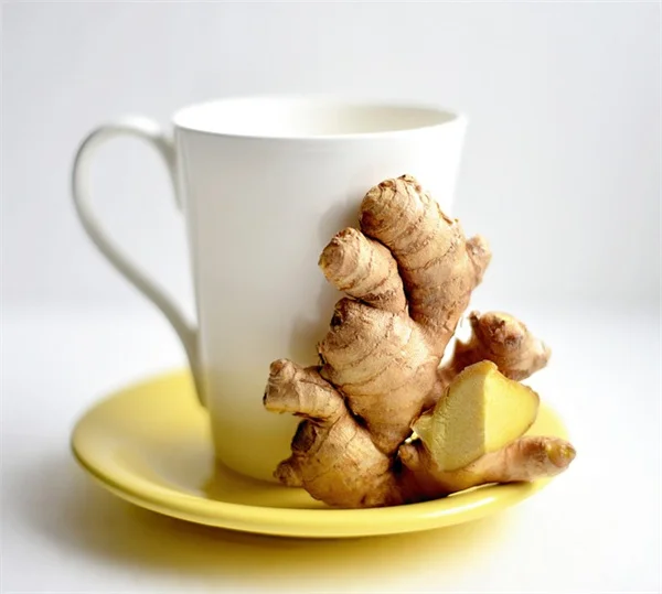 Mexican Prickly Poppyの栽培方法と注意点